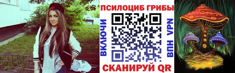 Галлюциногенные грибы прущие грибы  где купить   Александровское 